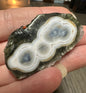 6th Vein Ocean Jasper Polished Freeform with Case