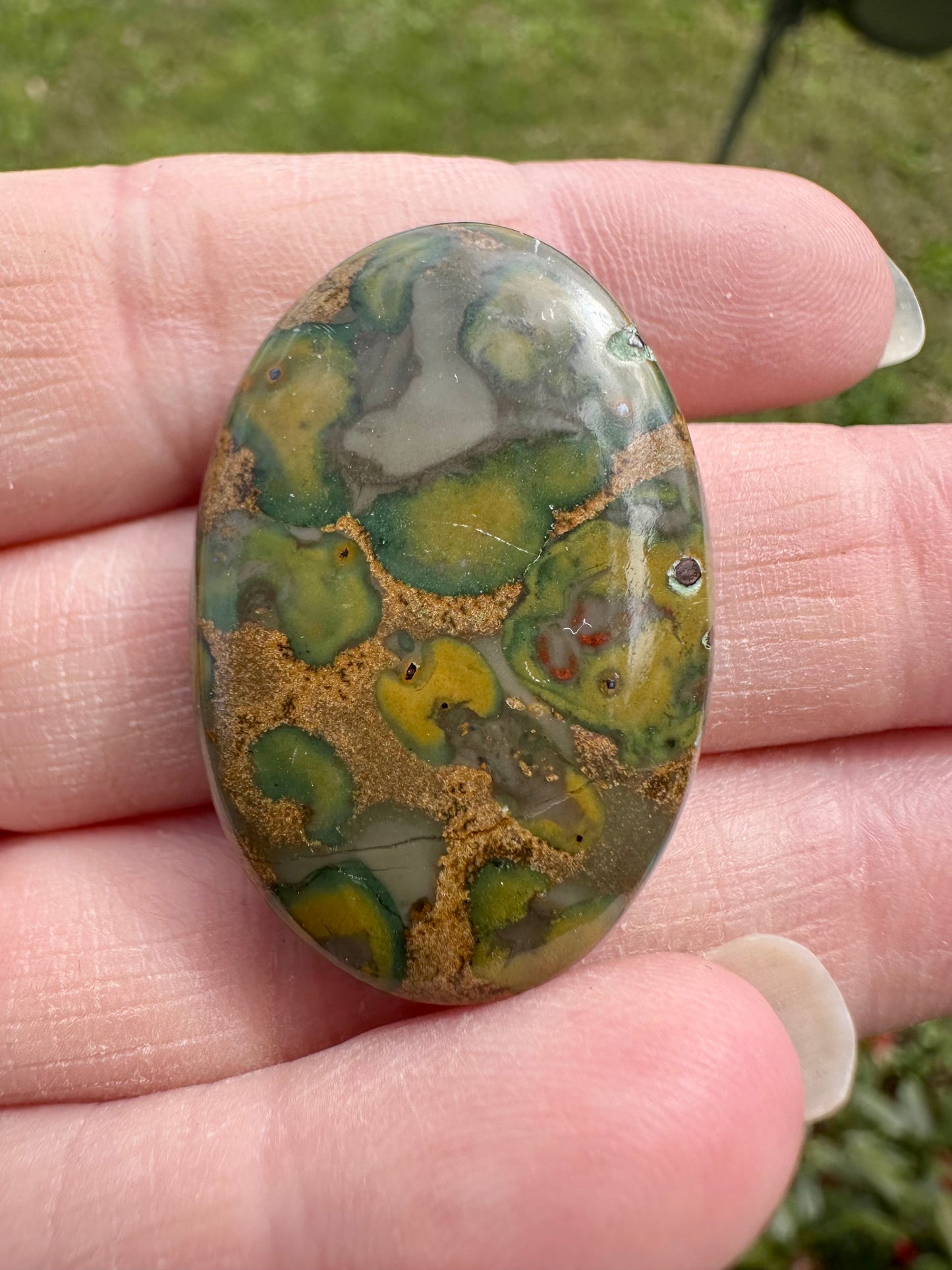 Rainforest Jasper (Rhyolite) Cabochon #9