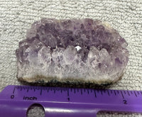 Amethyst Cluster Specimen #7