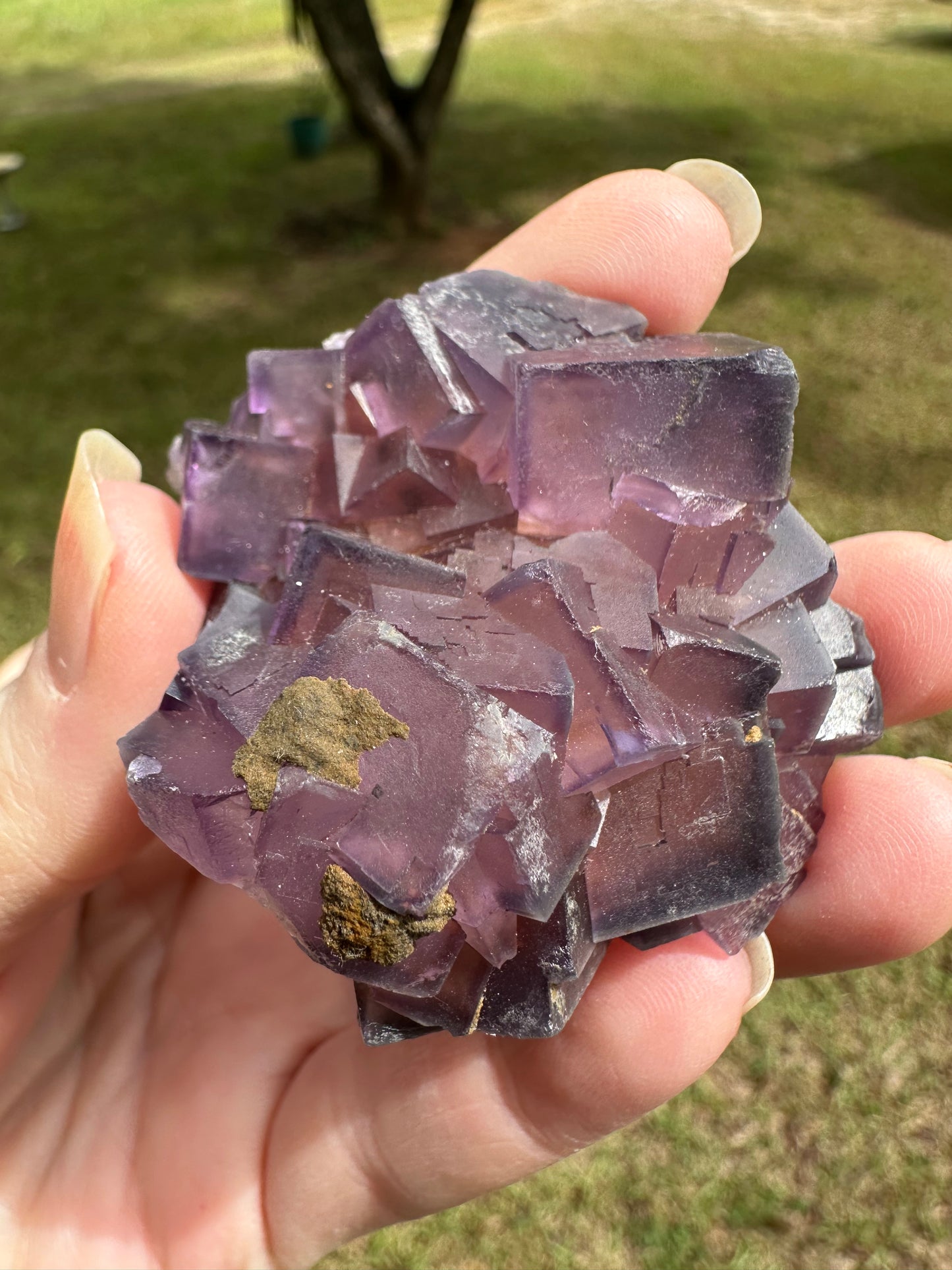 Cubic Purple Fluorite Specimen #3