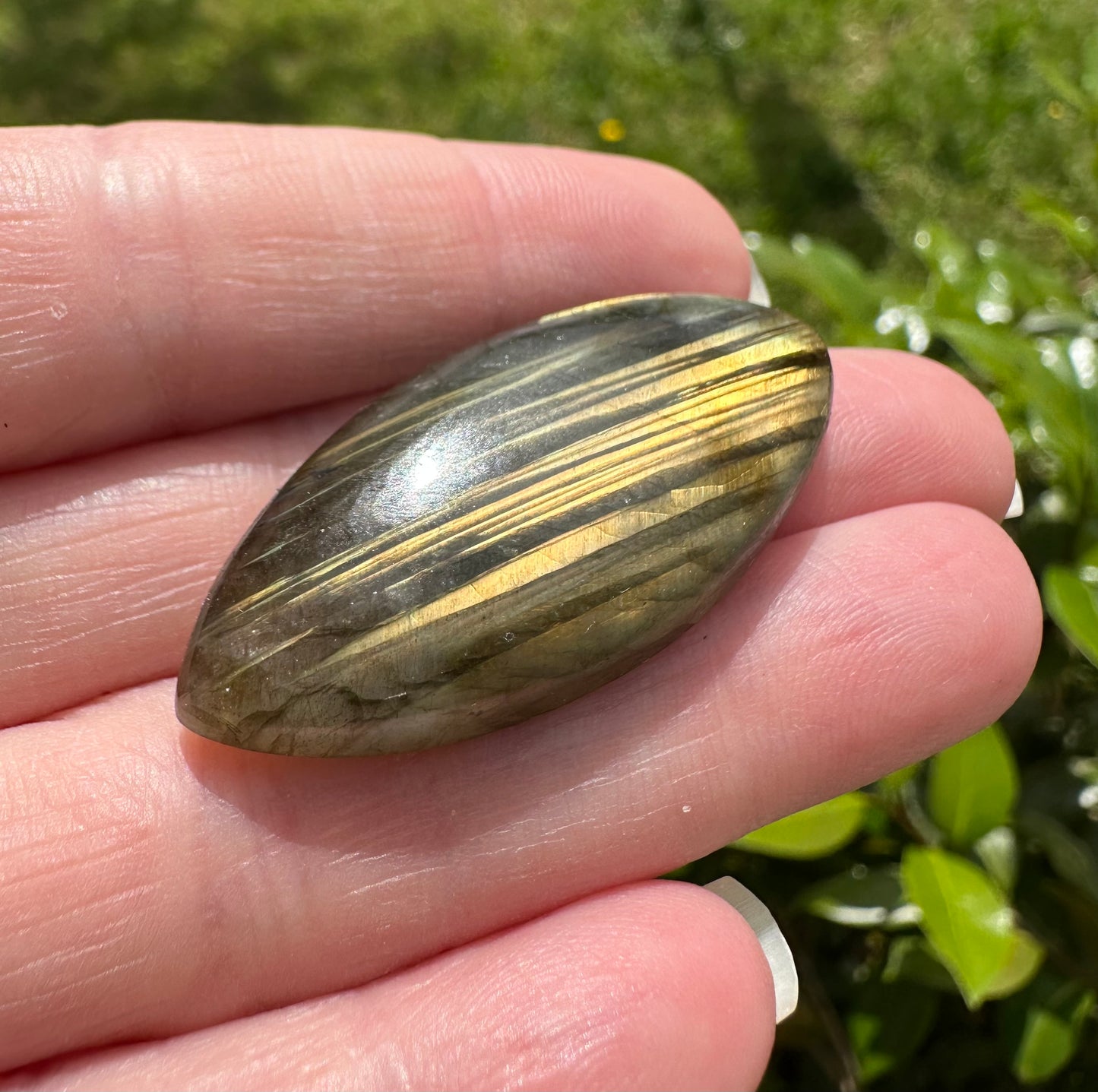 Marquise Labradorite Cabochon 12a