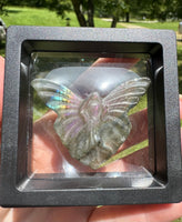 Labradorite Butterfly Fairy with Case