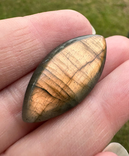 Marquise Labradorite Cabochon 41a