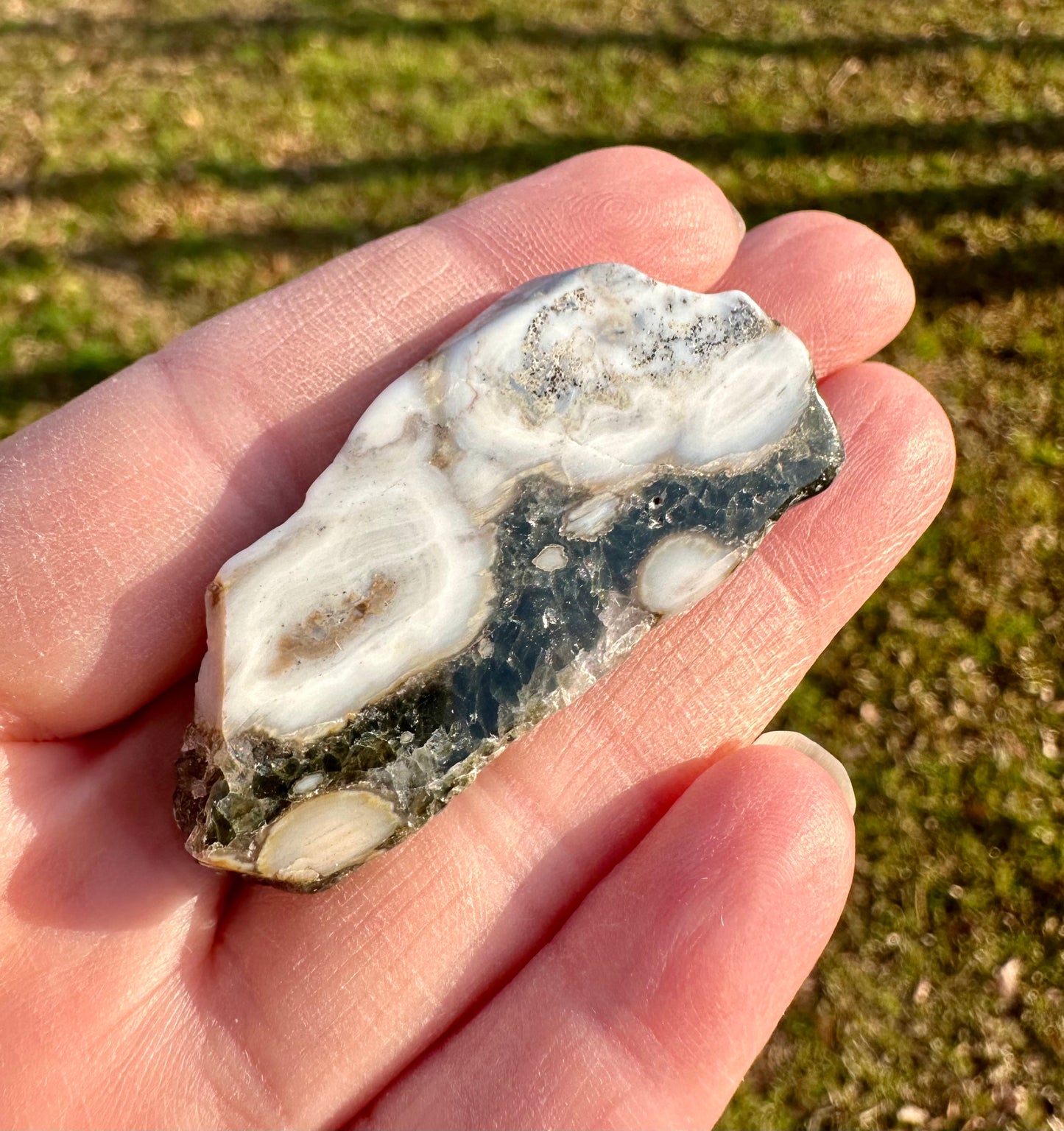 6th Vein Ocean Jasper Polished Freeform #9