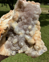 Savannah River Agate Specimen #40