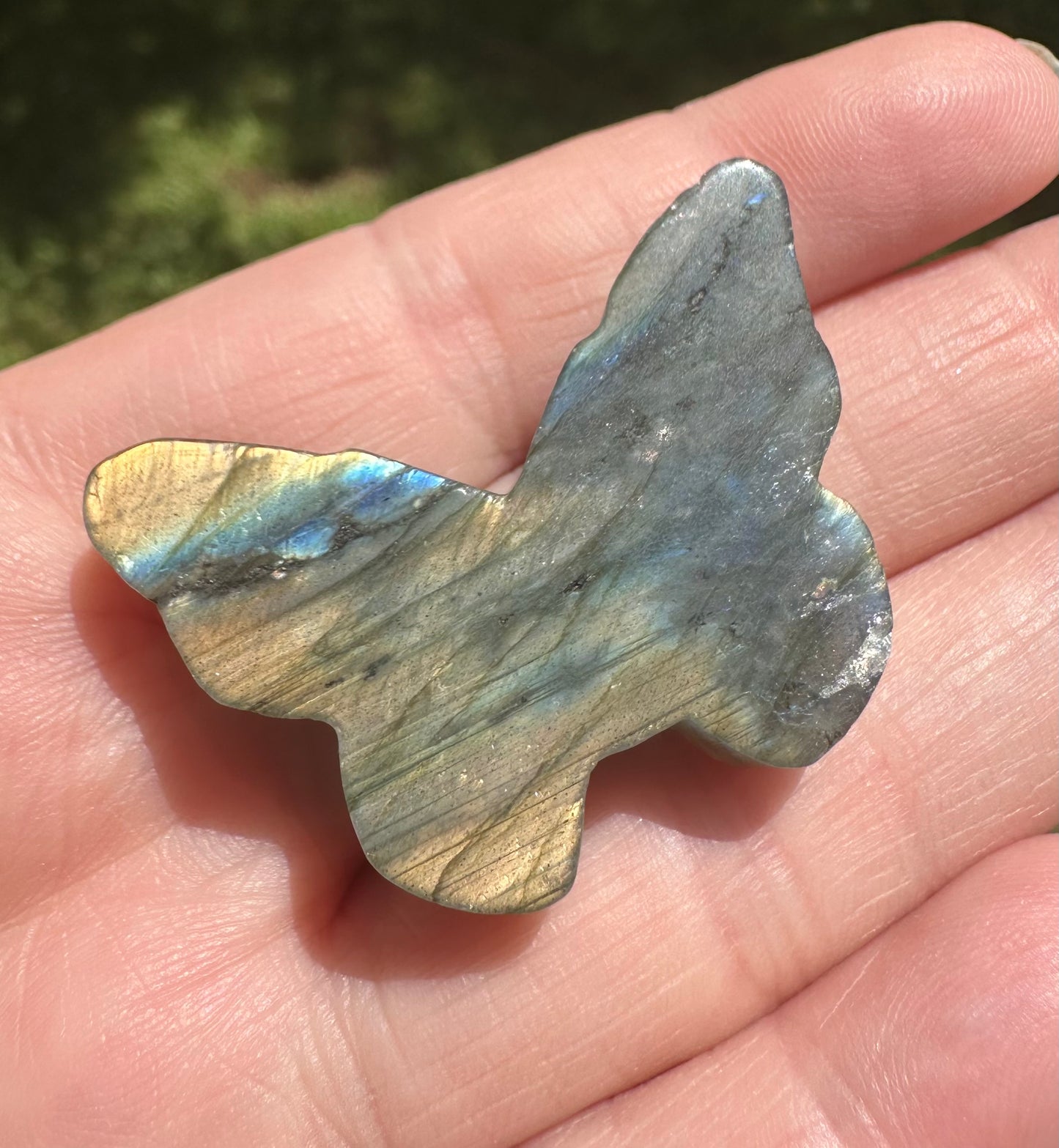 Labradorite Butterfly Skull Carving with Case