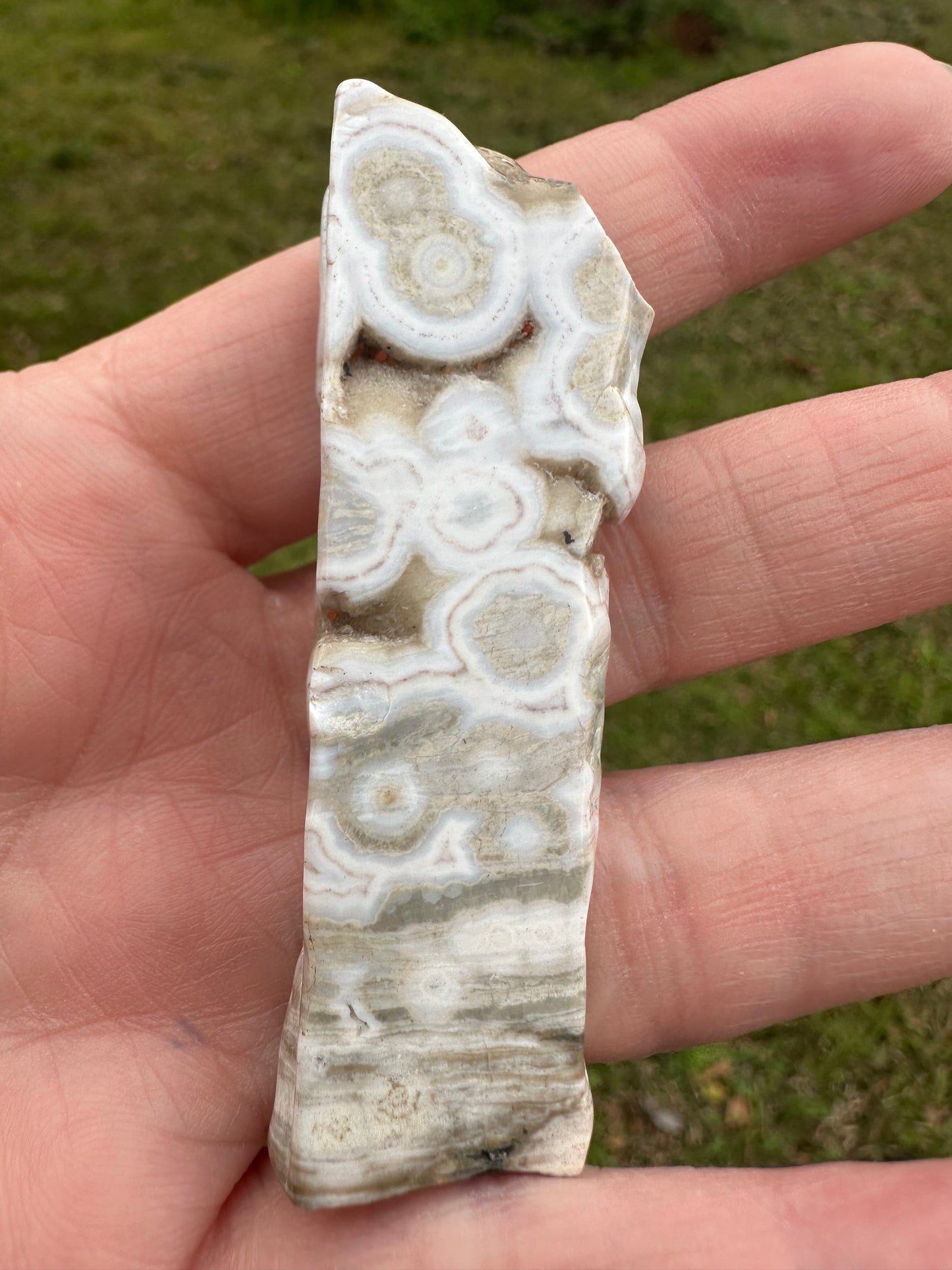 6th Vein Ocean Jasper Polished Freeform #43