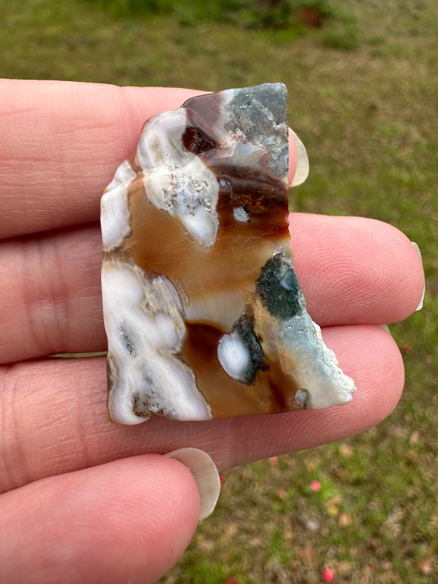 6th Vein Ocean Jasper Polished Freeform #31