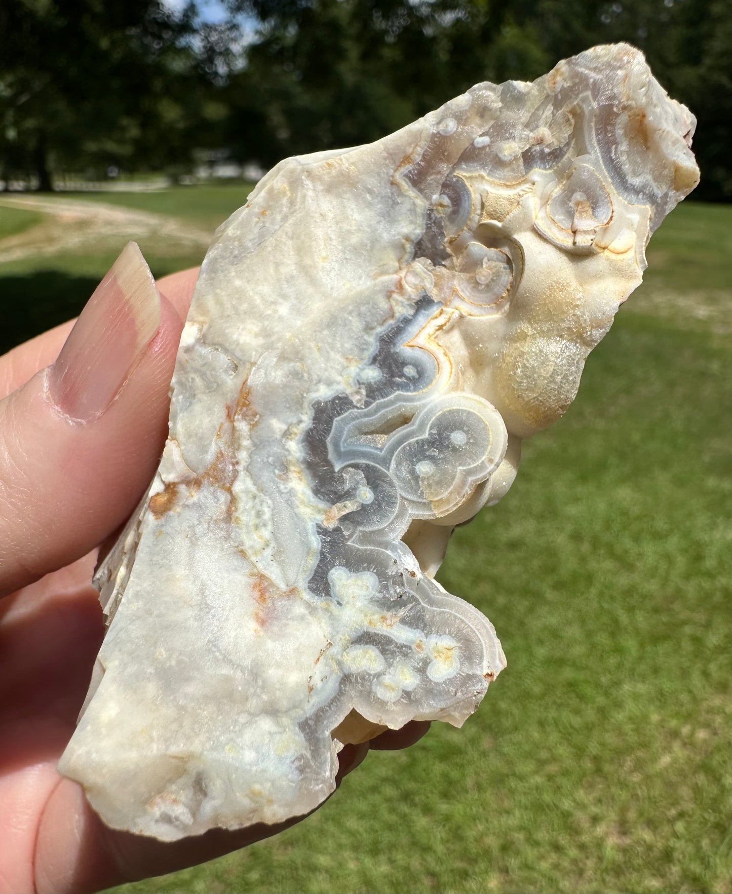 Savannah River Agate Specimen #44