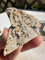 6th Vein Ocean Jasper Polished Freeform #1