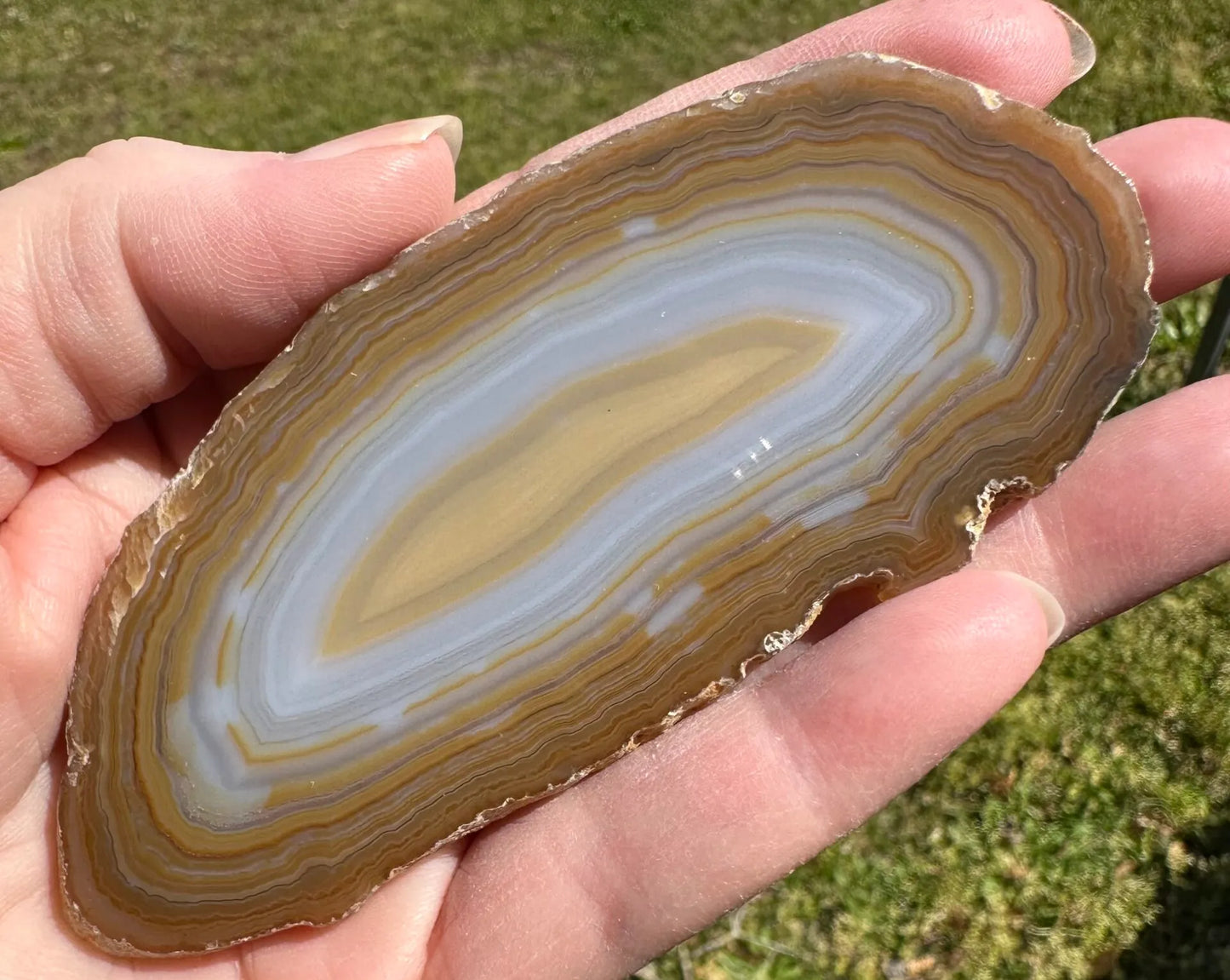 Natural Agate Slice #18