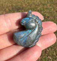 Carved Unicorn Labradorite with Case #2