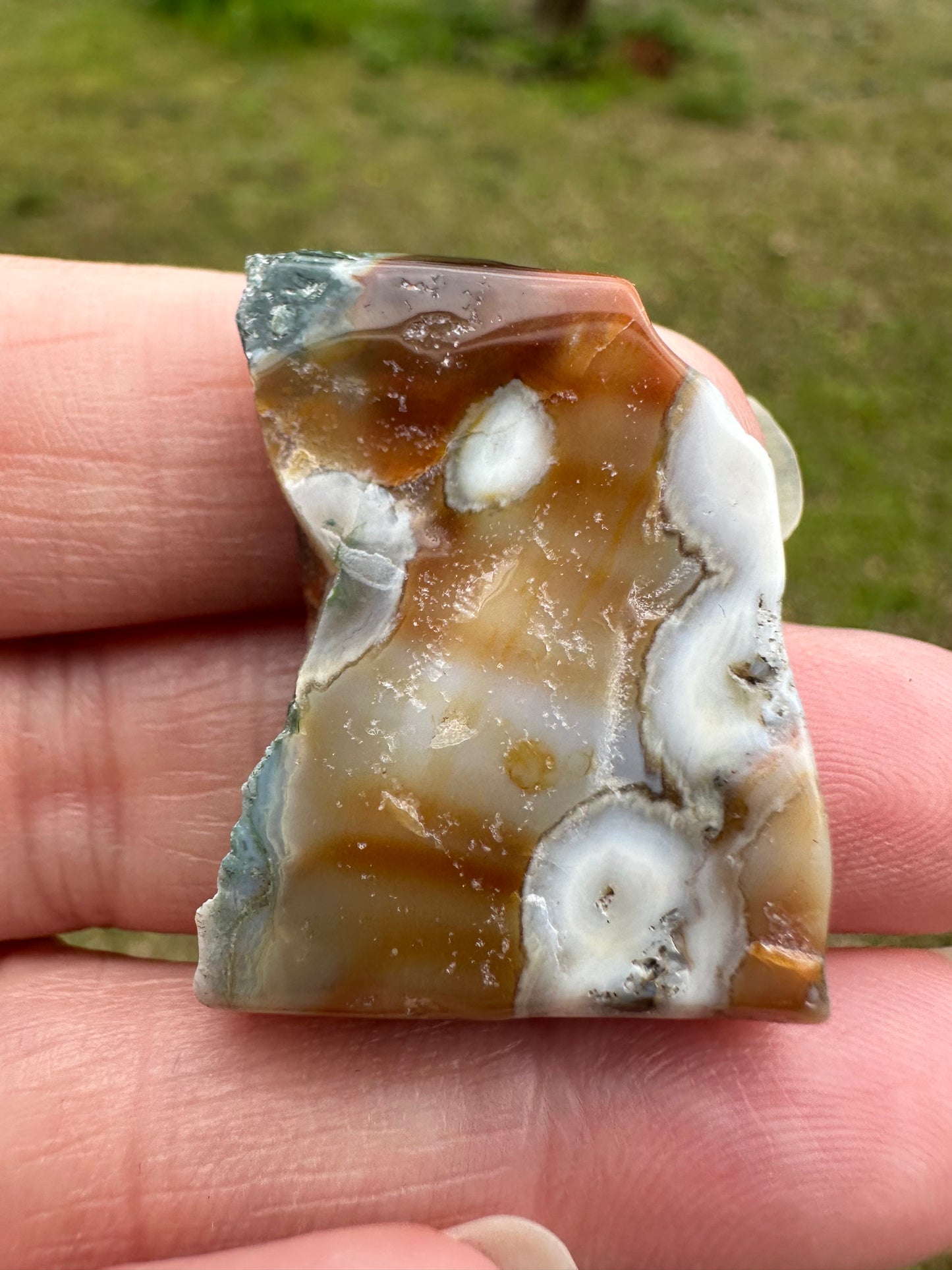 6th Vein Ocean Jasper Polished Freeform #31