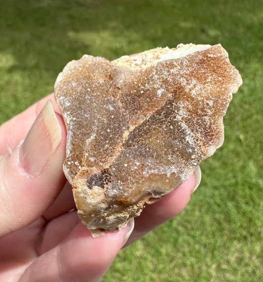 Savannah River Agate Specimen #47