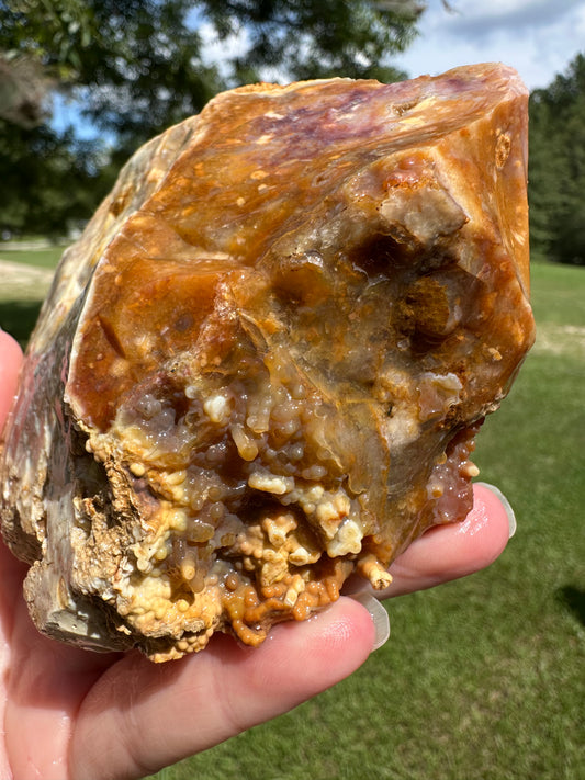 Savannah River Agate Specimen #26