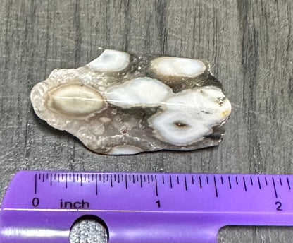 6th Vein Ocean Jasper Polished Freeform #35