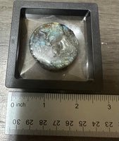 Carved Unicorn & Flowers Labradorite with Case