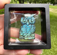 Labradorite Owl Carving with Case