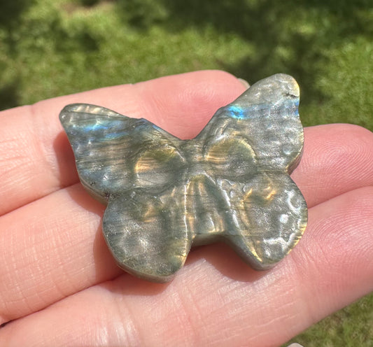 Labradorite Butterfly Skull Carving with Case