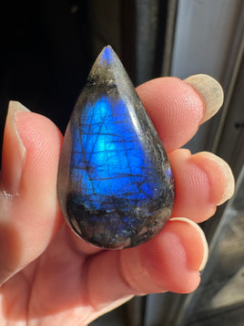 Pearshape Labradorite Cabochon 74a