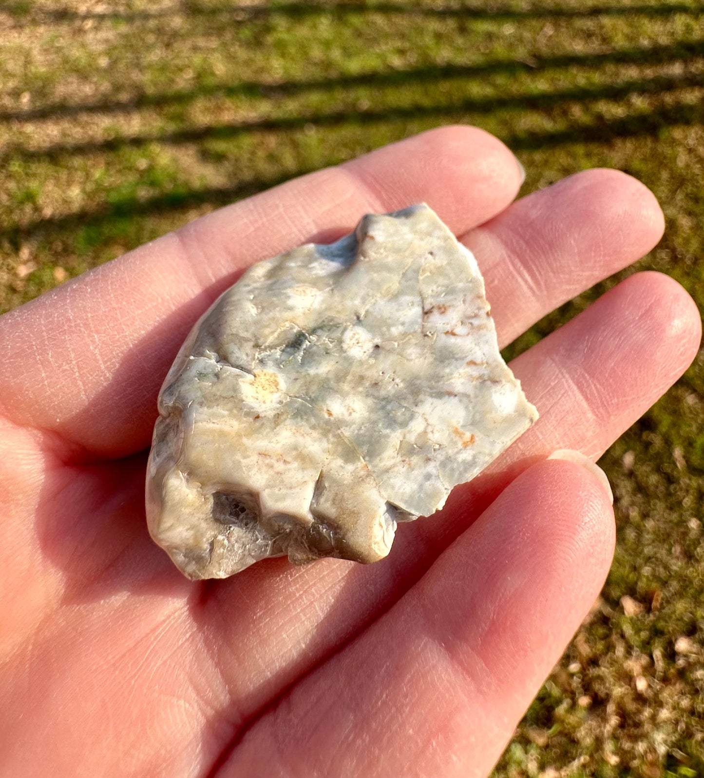 6th Vein Ocean Jasper Polished Freeform #11