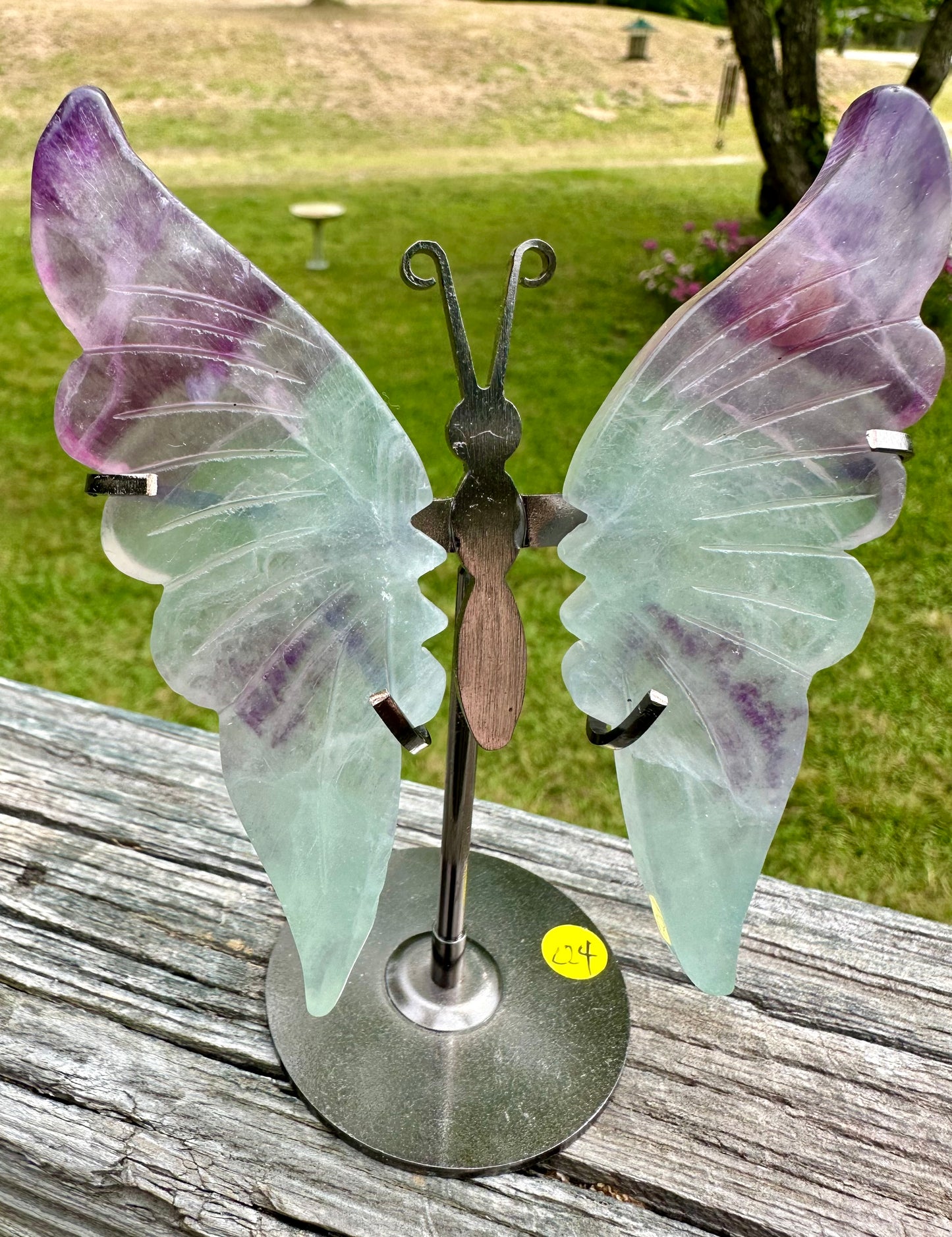 Fluorite Butterfly Wings & Stand #1