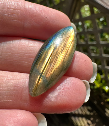 Marquise Labradorite Cabochon 59a