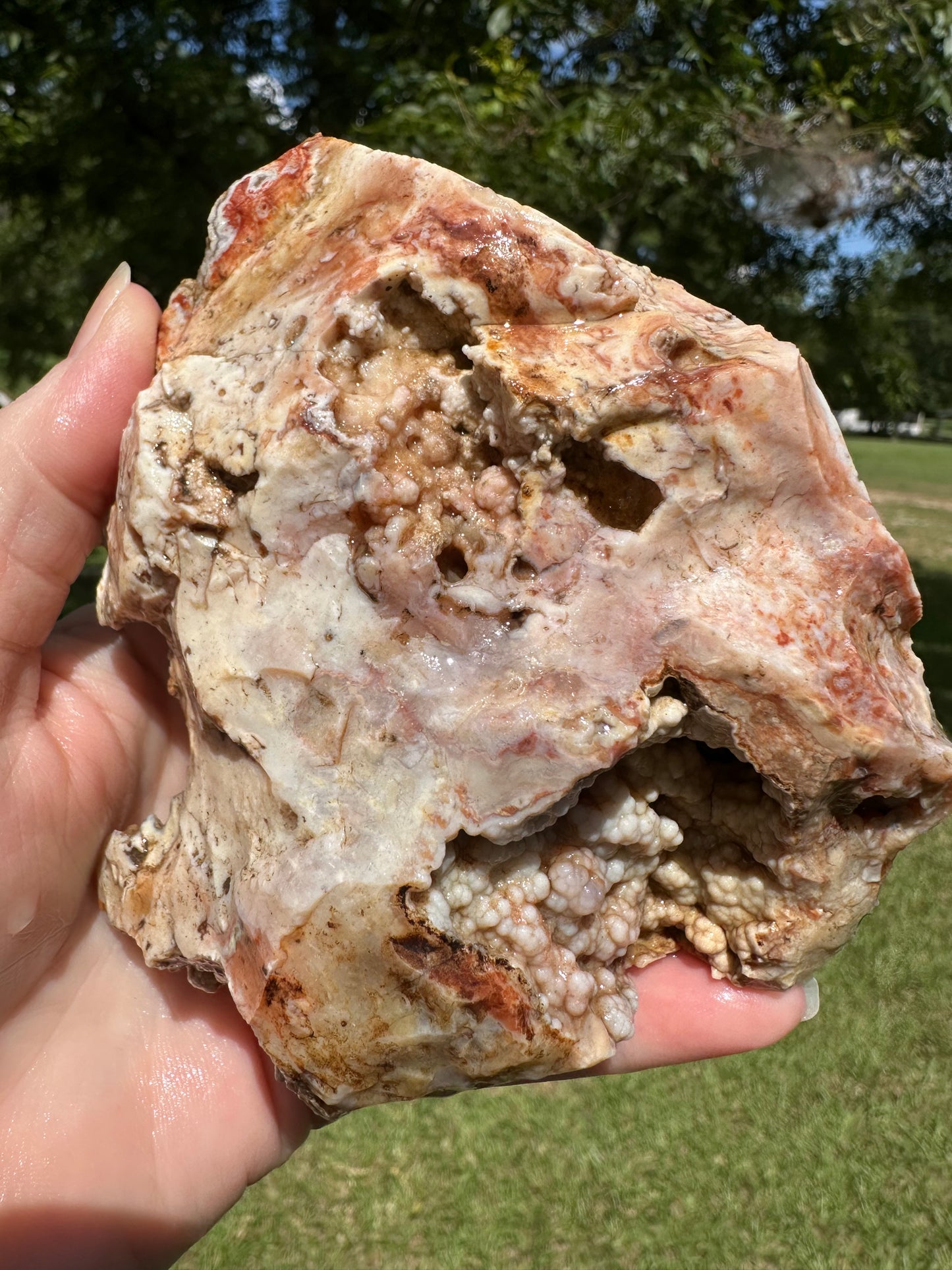 Savannah River Agate Specimen #50 Pastels