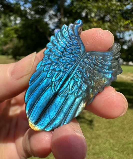 Labradorite Wing Shape Carving with Case