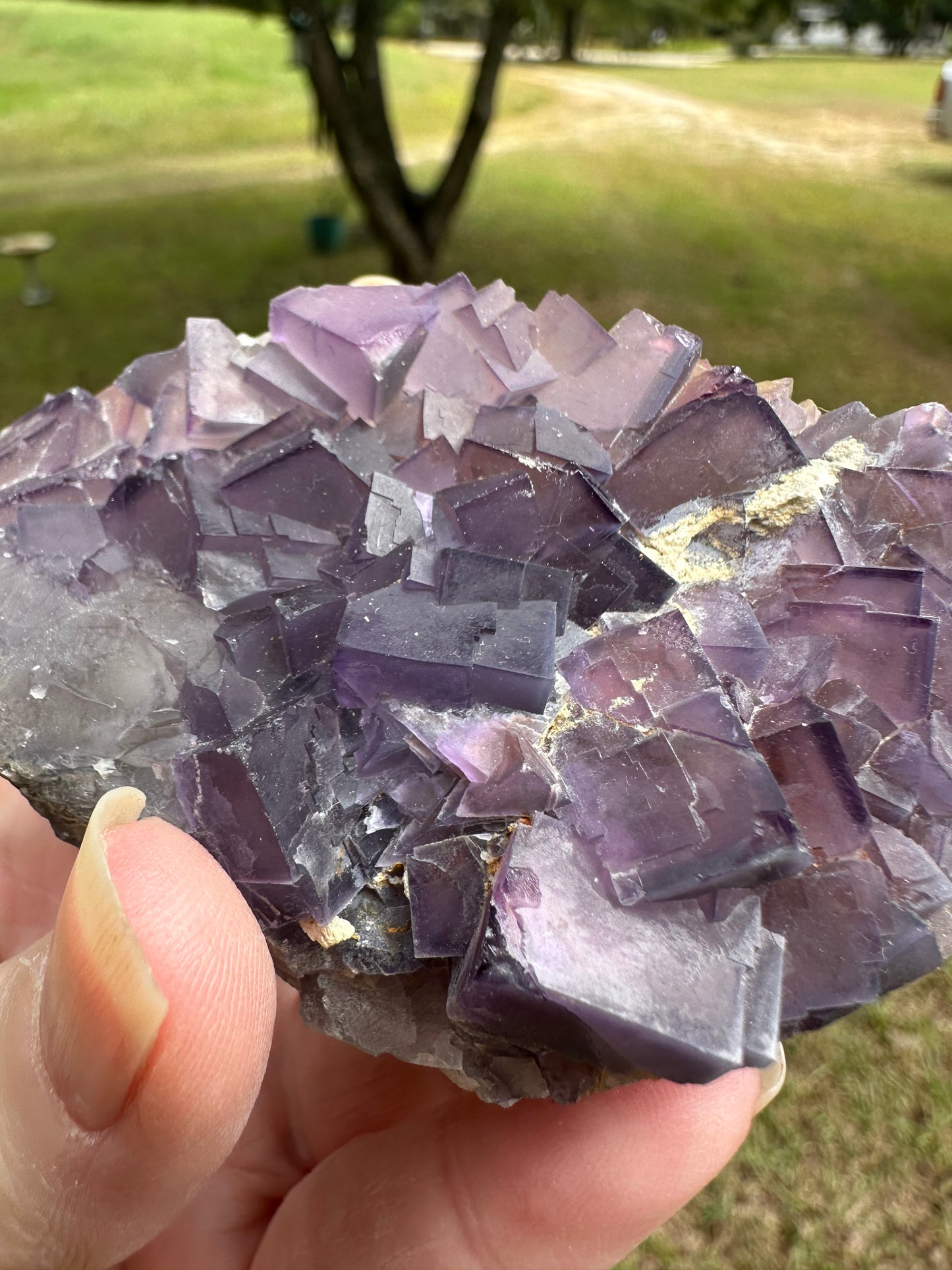 Cubic Purple Fluorite Specimen #2