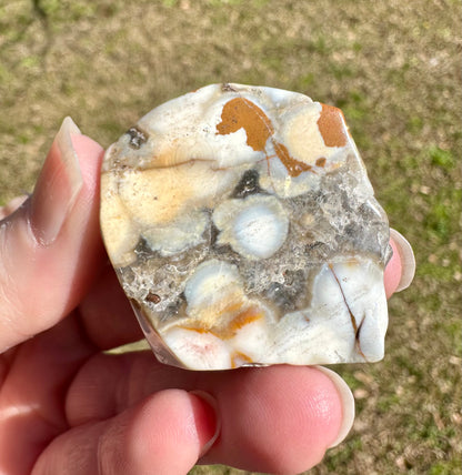 6th Vein Ocean Jasper Polished Freeform #22