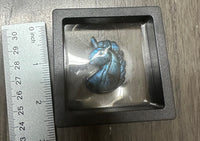 Carved Unicorn Labradorite with Case #2