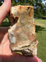 Savannah River Agate Specimen #50 Pastels