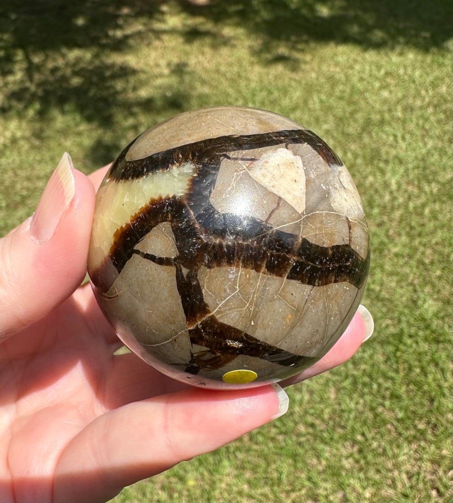 Septarian Sphere UV Reactive #5