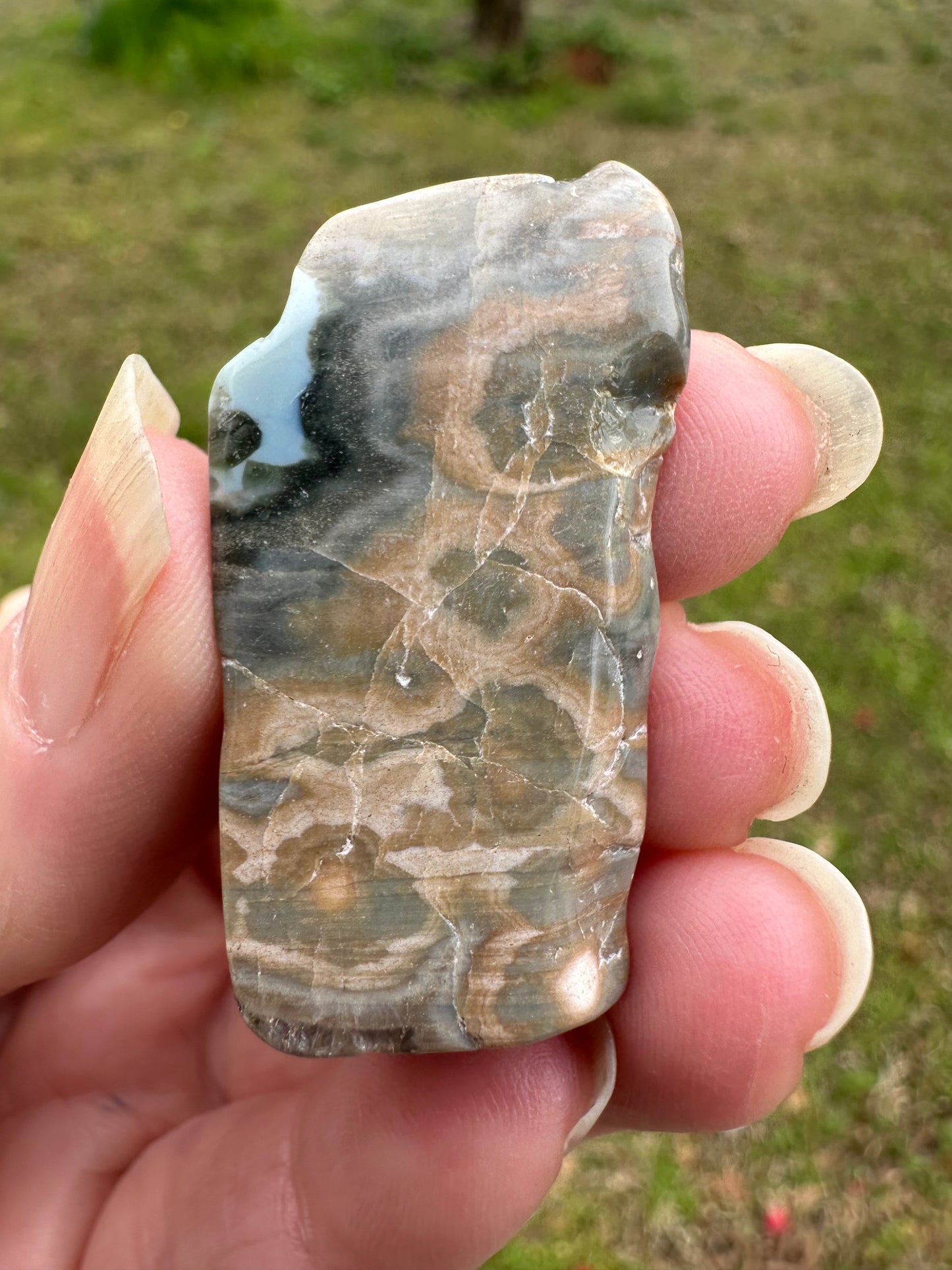 6th Vein Ocean Jasper Polished Freeform #39