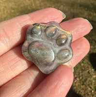 Carved Paw Print Labradorite with Case