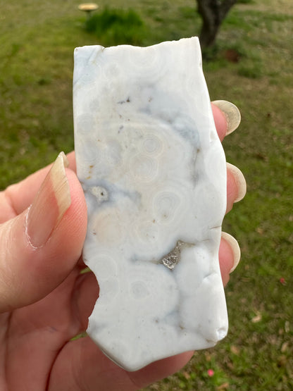 6th Vein Ocean Jasper Polished Freeform #41