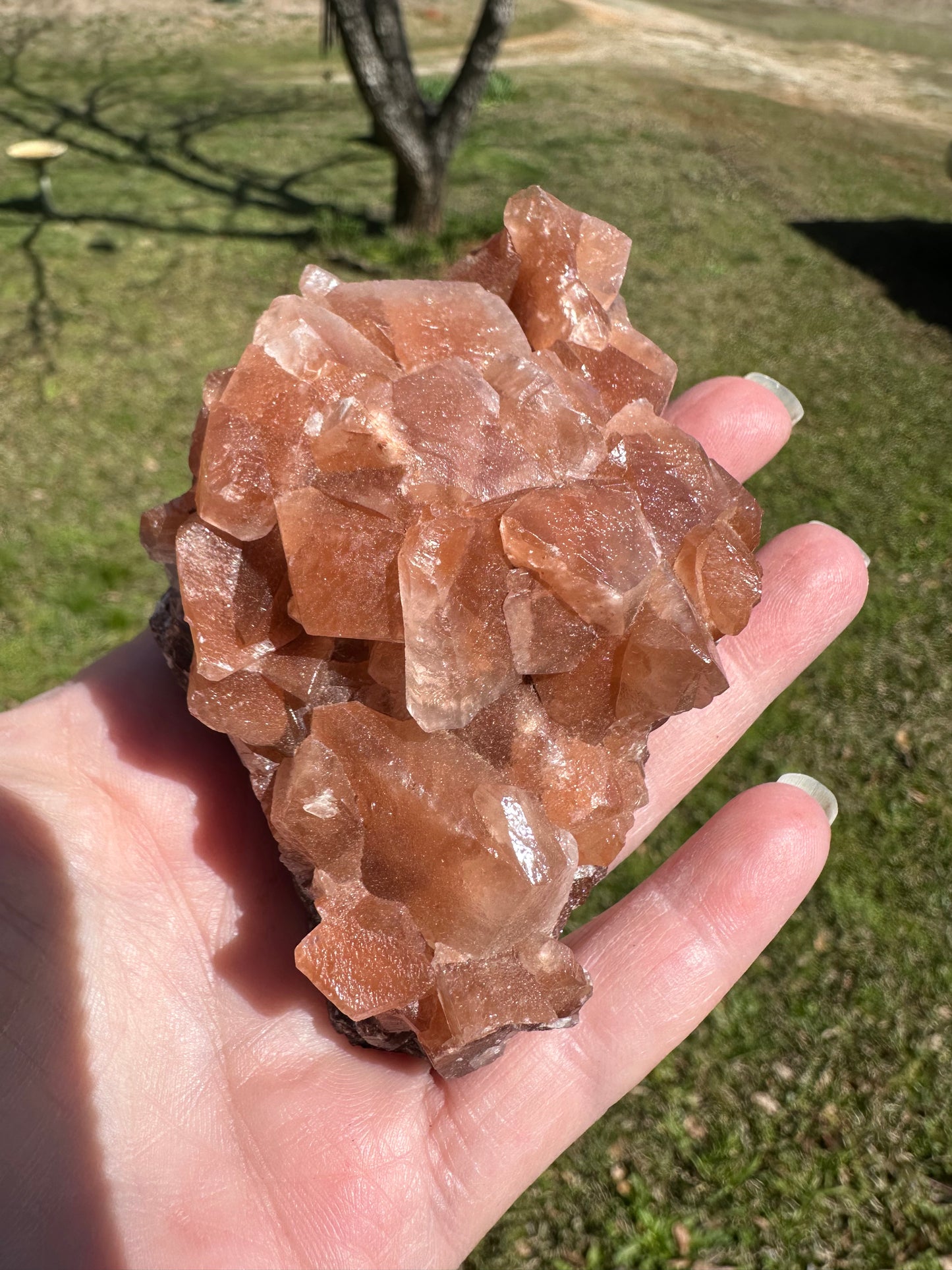 Calcite, Santa Eulalia, Chihuahua, Mexico