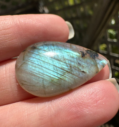 Pearshape Labradorite Cabochon 60a