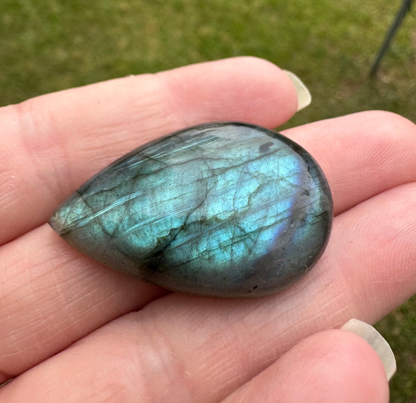 Pearshape Labradorite Cabochon 36a