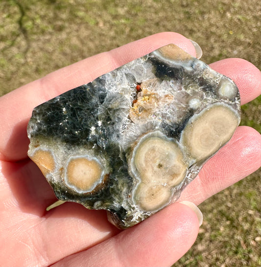 6th Vein Ocean Jasper Polished Freeform #21