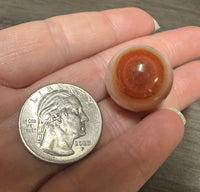 Banded Carnelian Sphere #3