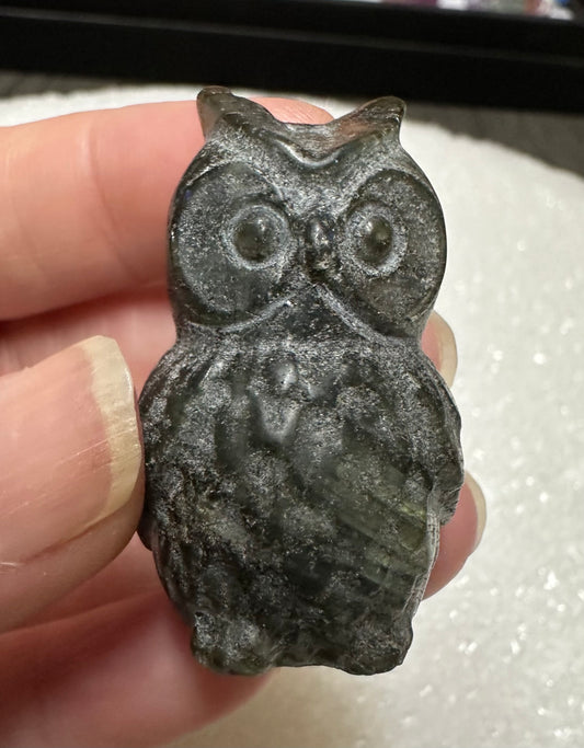 Carved Labradorite Owl