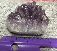 Amethyst Cluster Specimen #17