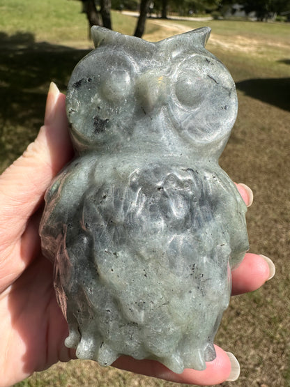 Large Labradorite Owl Carving