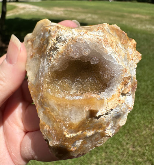 Savannah River Agate Specimen #20