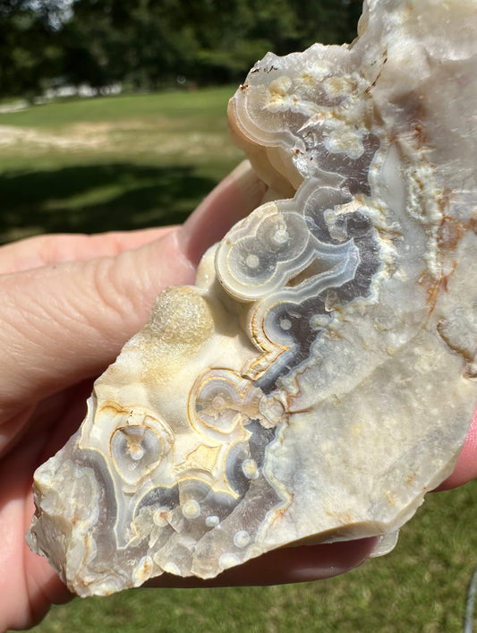 Savannah River Agate Specimen #44