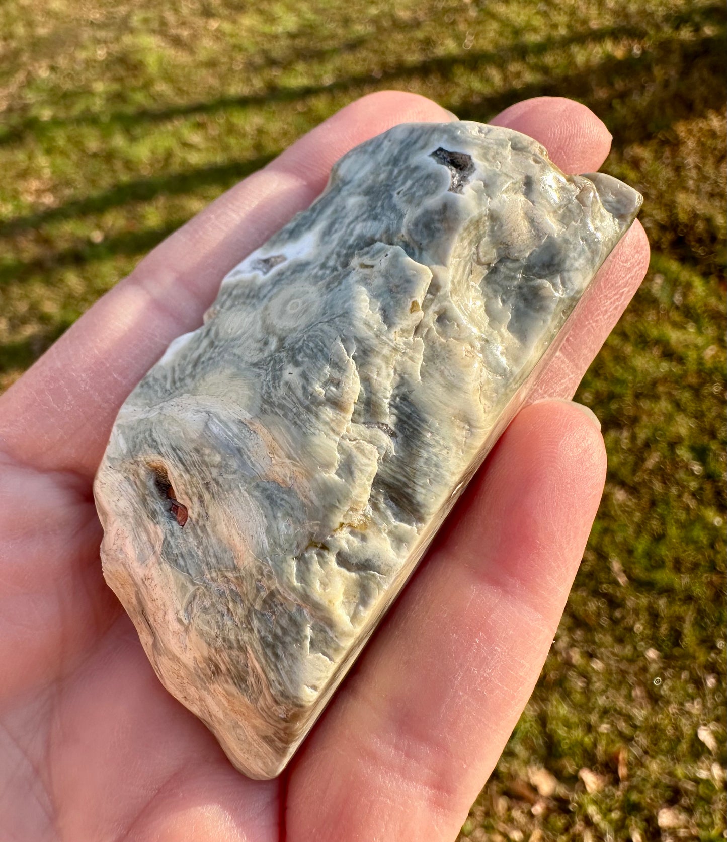 6th Vein Ocean Jasper Polished Freeform #4