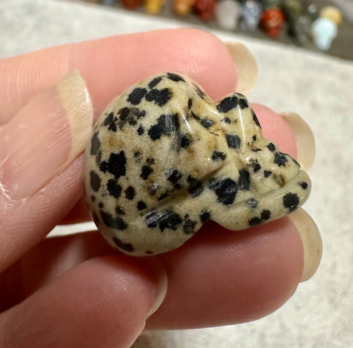 Dalmation Jasper Skull