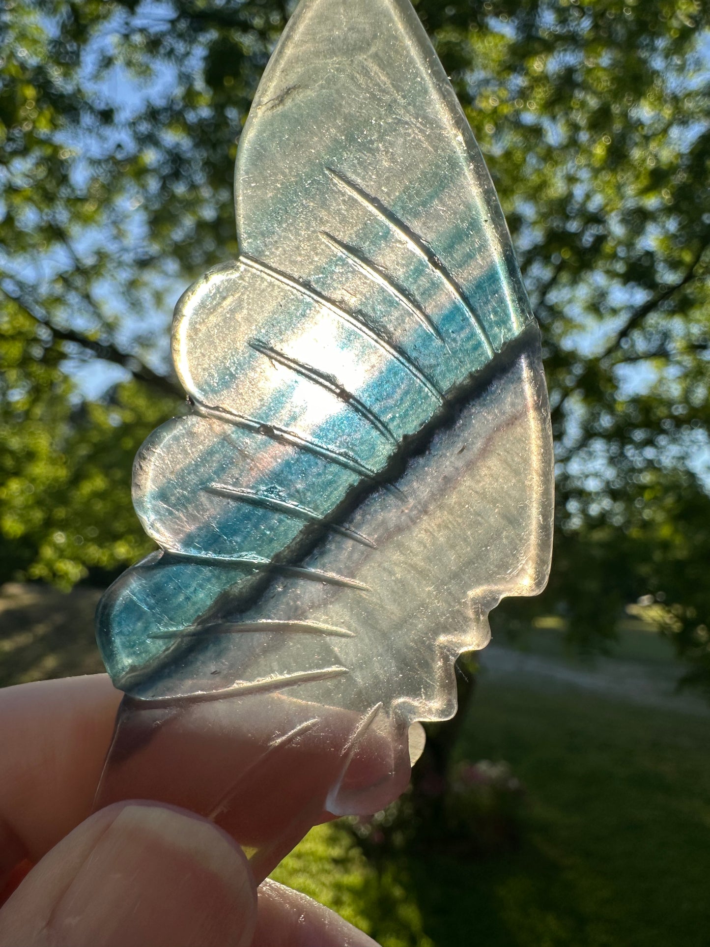 Fluorite Butterfly Wings & Stand #2